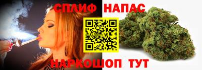 шишки Новодвинск