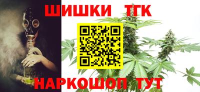 шишки Новодвинск
