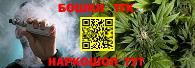 шишки Новодвинск