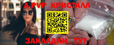 шишки Новодвинск