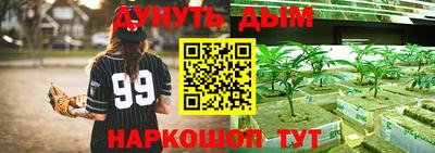 шишки Новодвинск