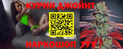 шишки Новодвинск