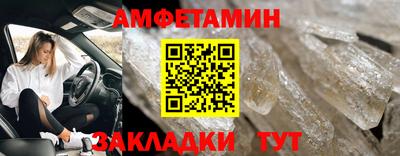шишки Новодвинск