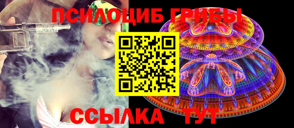 Псилоцибиновые грибы мицелий  Псилоцибиновые грибы Magic Shrooms  Славгород  Вход с VPN 